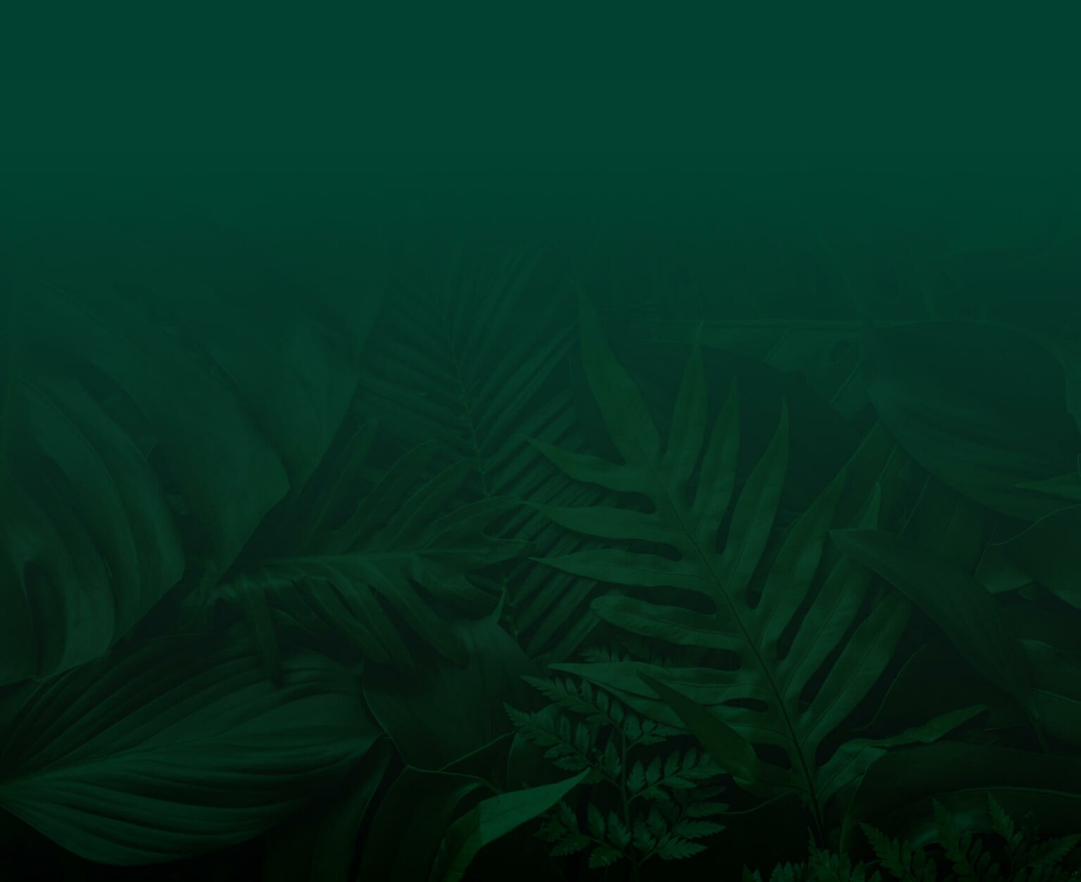 Atmoz Oasis Onnut